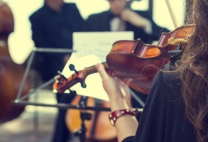 Violin-072514