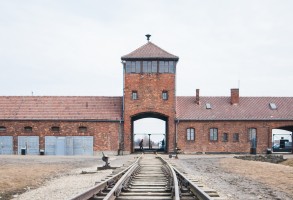 auschwitz-101714